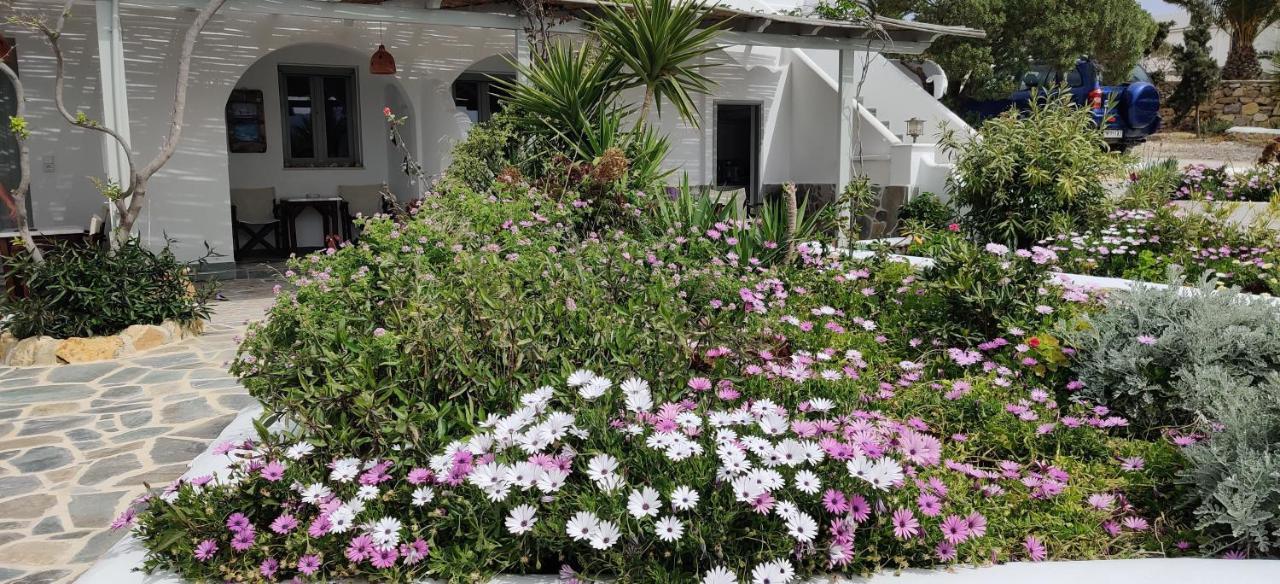 Anemomylos Houses Koufonisia Esterno foto